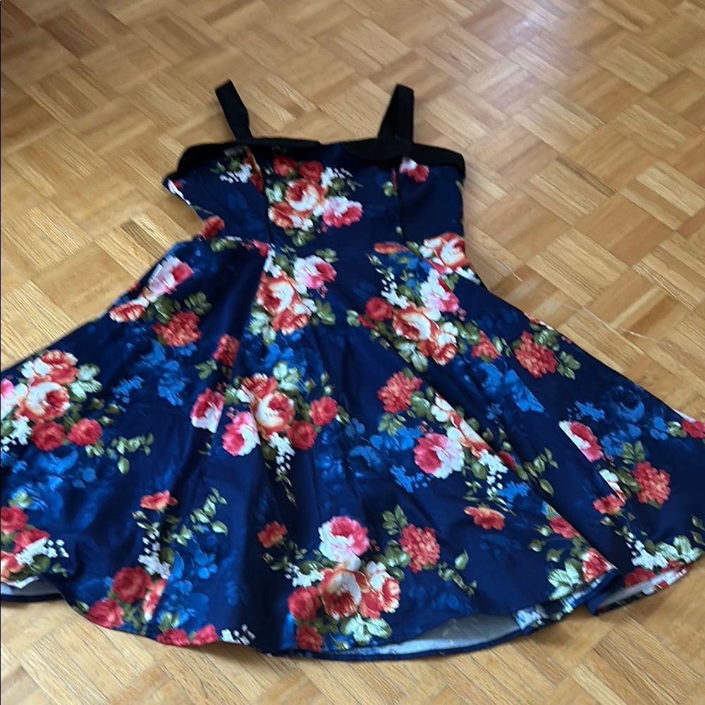 Heart & Roses Floral Dress - Blue and Red
